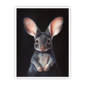 Bilby Framed Print