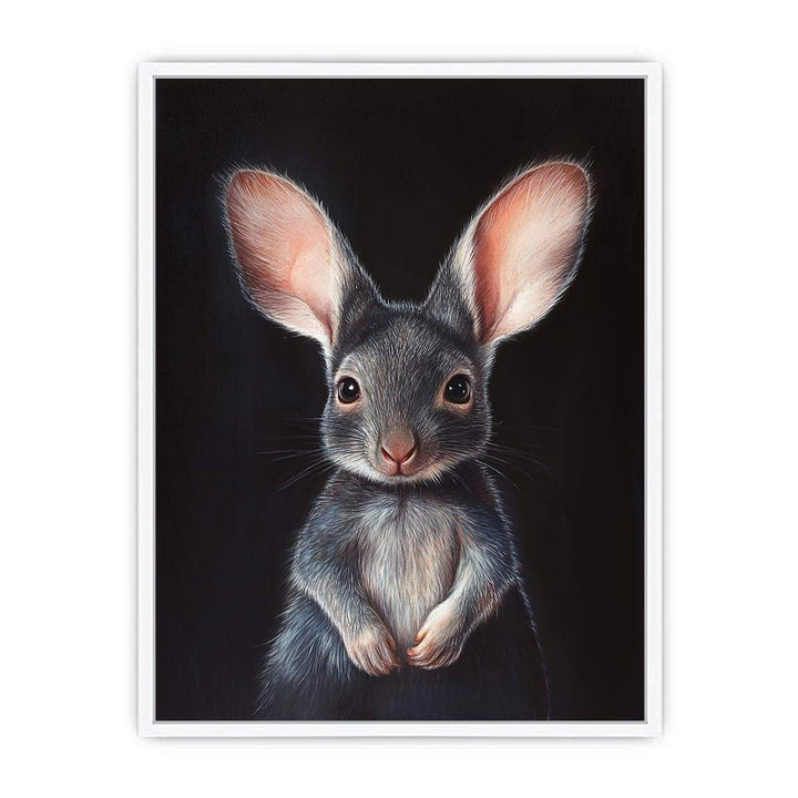Bilby Framed Print