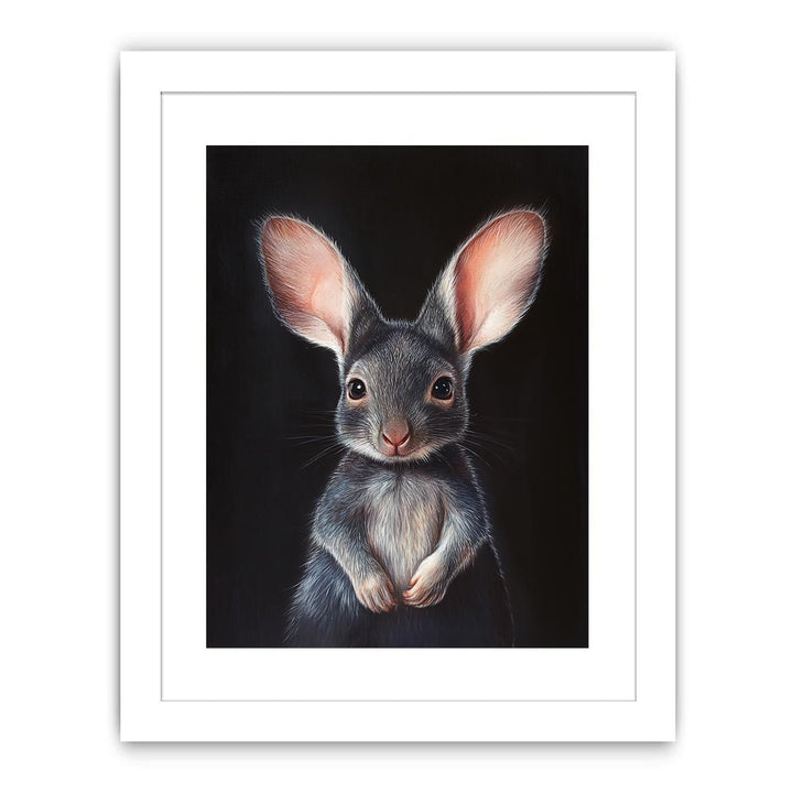 Bilby Streched canvas