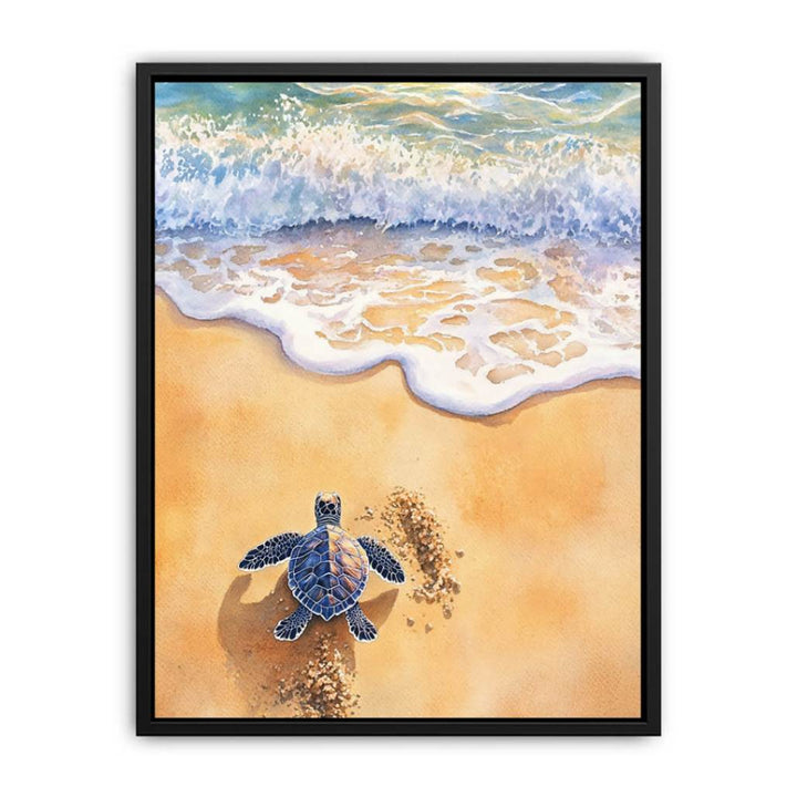 Baby Turtle  Painting