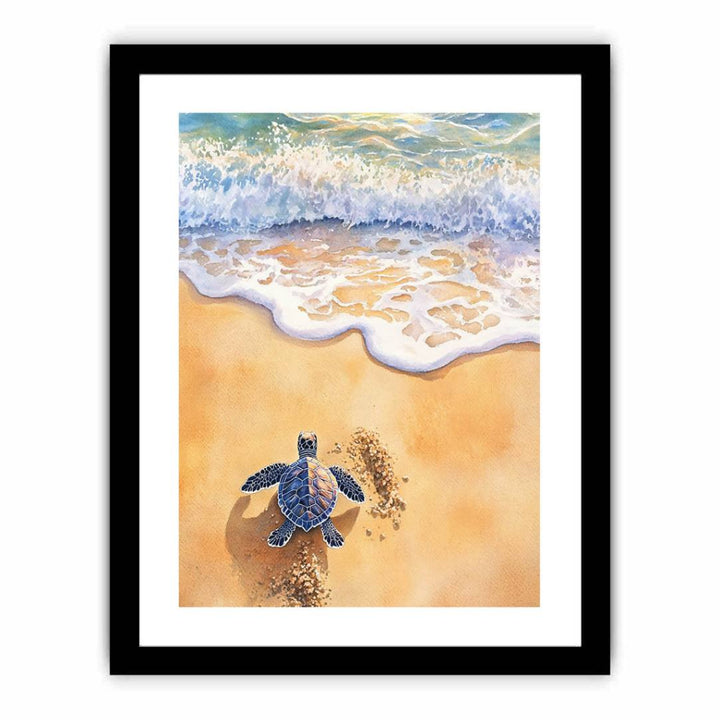 Baby Turtle  Art Print