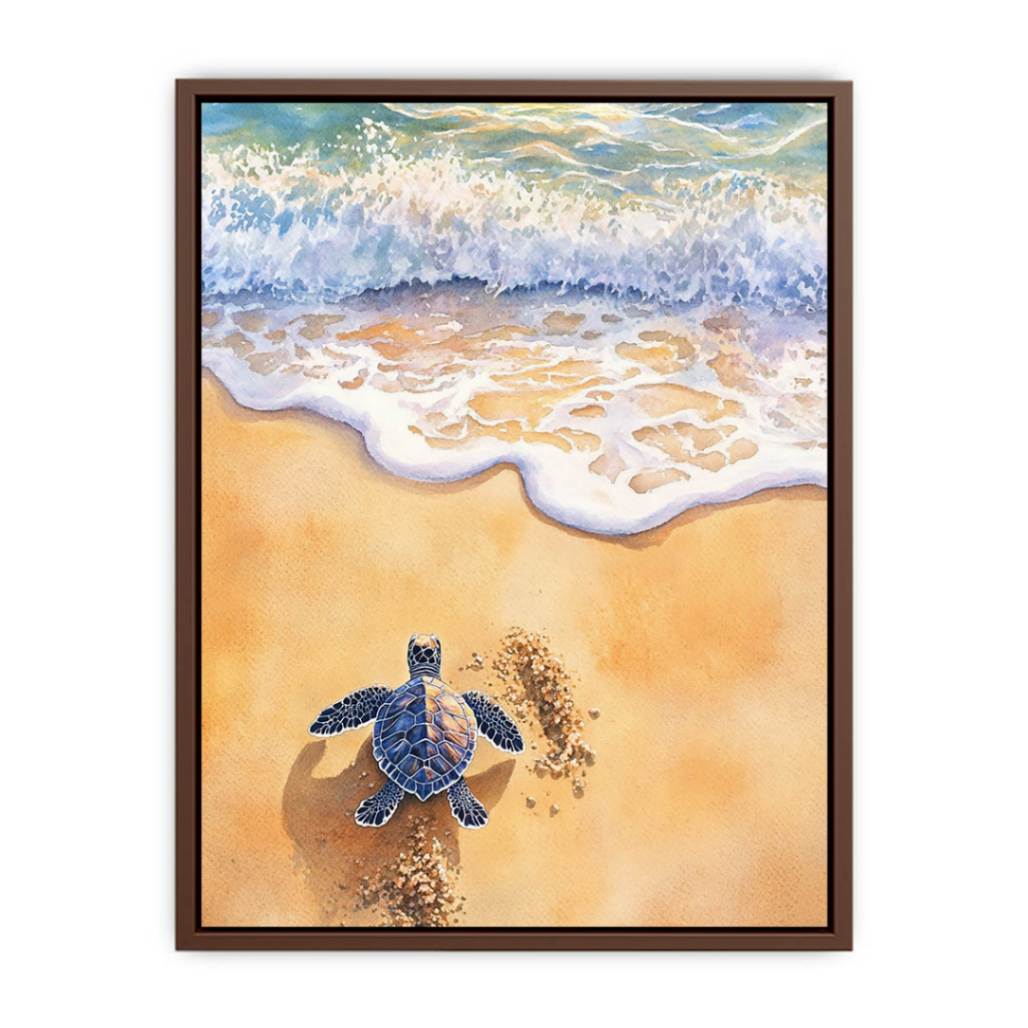 Baby Turtle  Poster