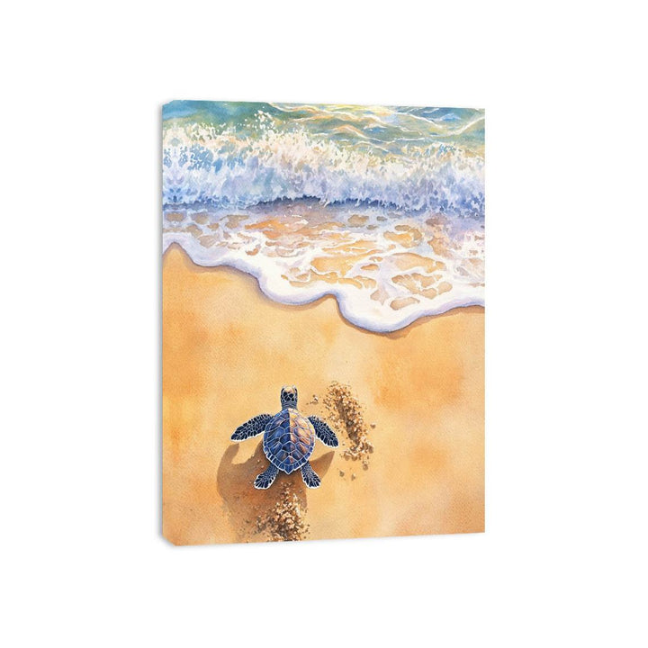 Baby Turtle Canvas Print