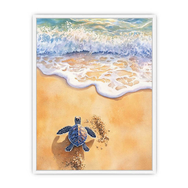 Baby Turtle Framed Print