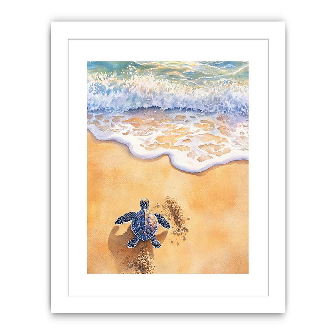 Baby Turtle Streched canvas