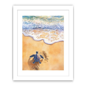 Baby Turtle Streched canvas