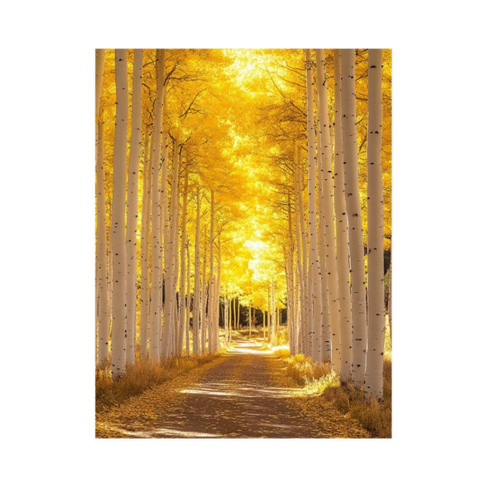 Autumn Reverie