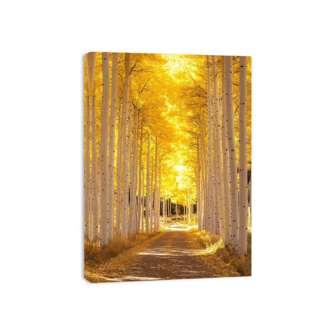 Autumn Reverie Canvas Print