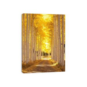 Autumn Reverie Canvas Print