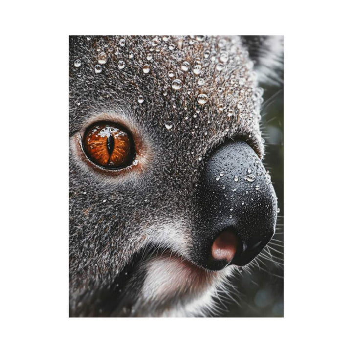 Serene Wanderer Koala