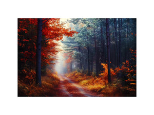 Autumn Forest