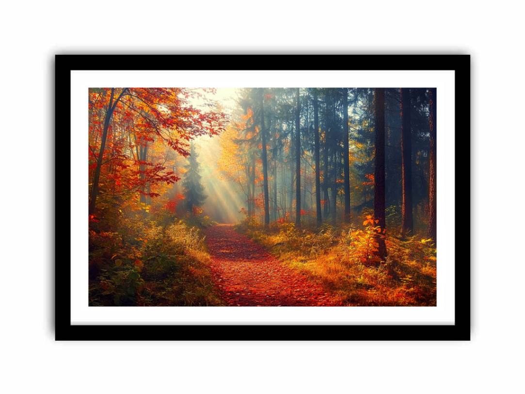 Autumn Forest Trees  Art Print