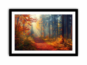 Autumn Forest Trees  Art Print