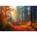 Autumn Forest Trees