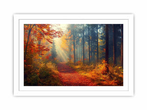 Autumn Forest Trees Streched canvas