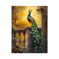 Sunset Glory Peacock