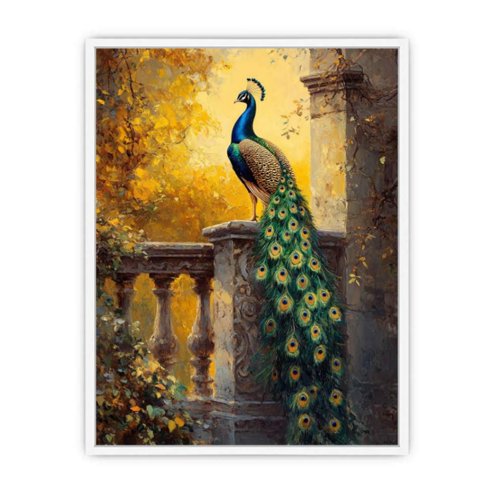 Sunset Glory Peacock Framed Print
