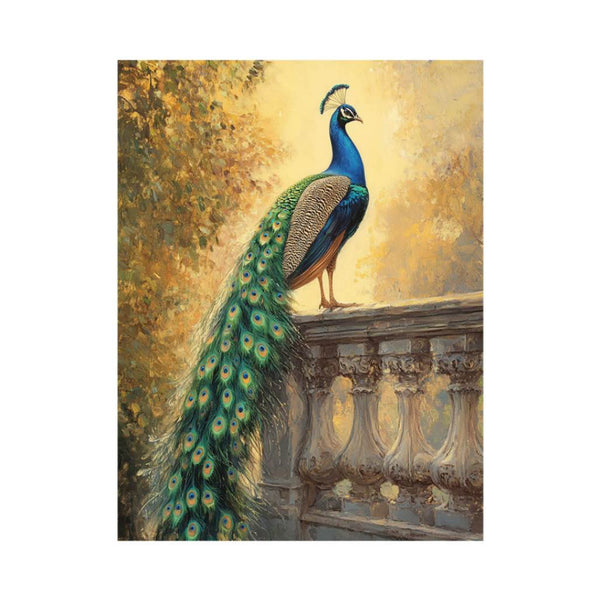 Peacock Sunset Glory 