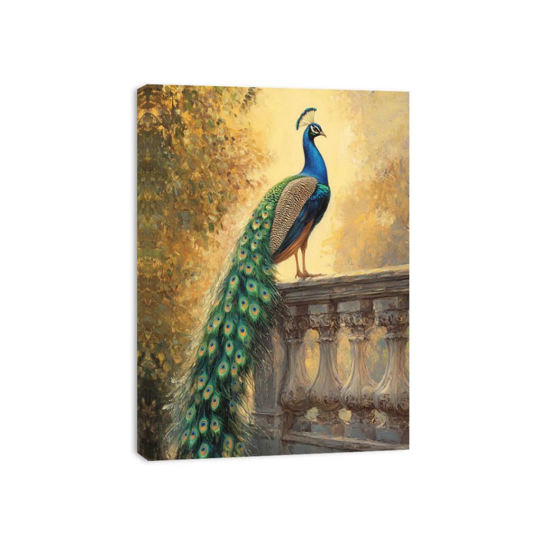 Peacock Sunset Glory  Canvas Print