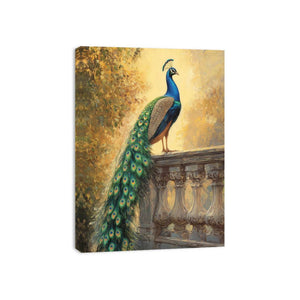 Peacock Sunset Glory  Canvas Print