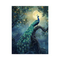Moonlit Peacock