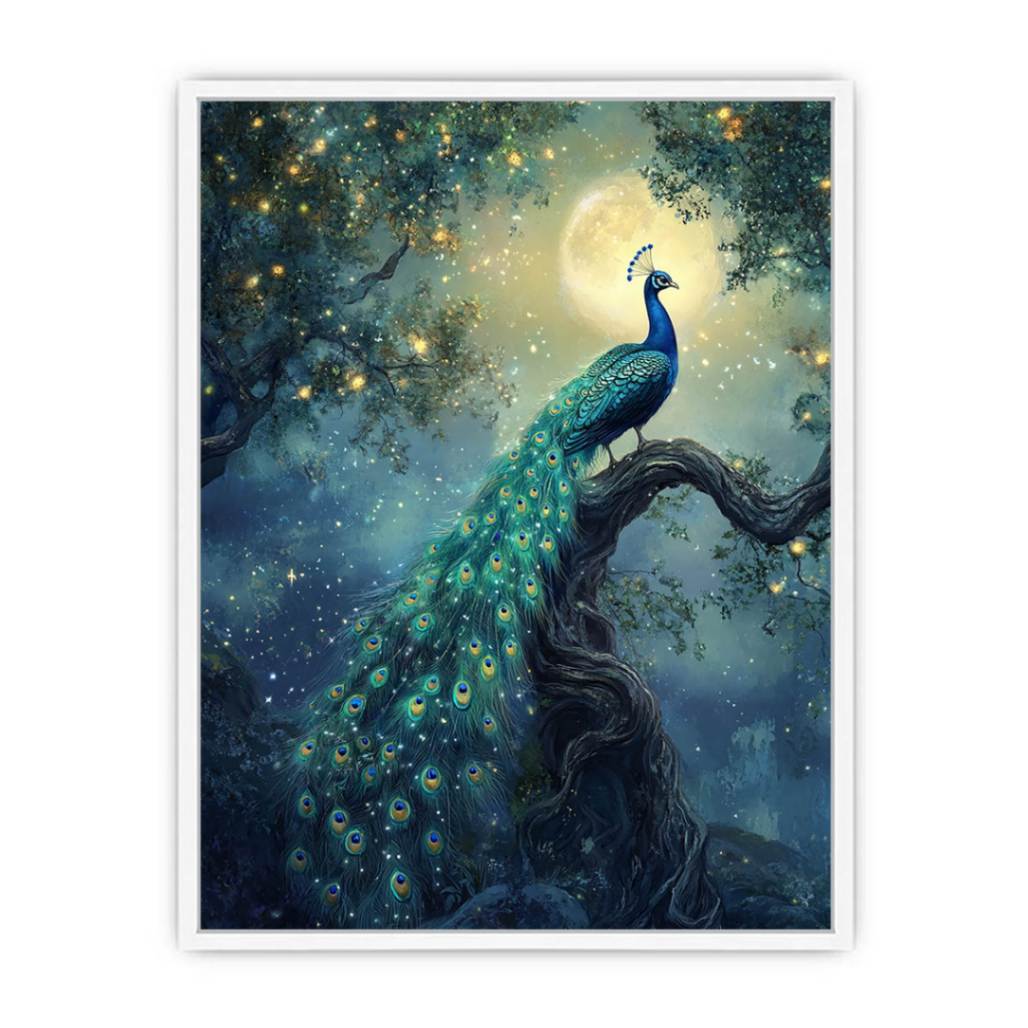 Moonlit Peacock Framed Print
