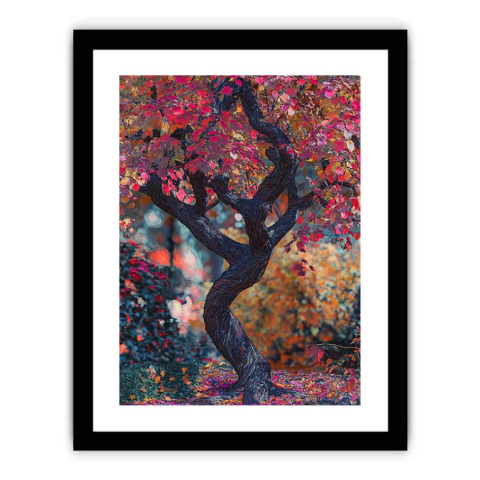Japenese Maple Tree  Art Print
