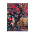 Japenese Maple Tree