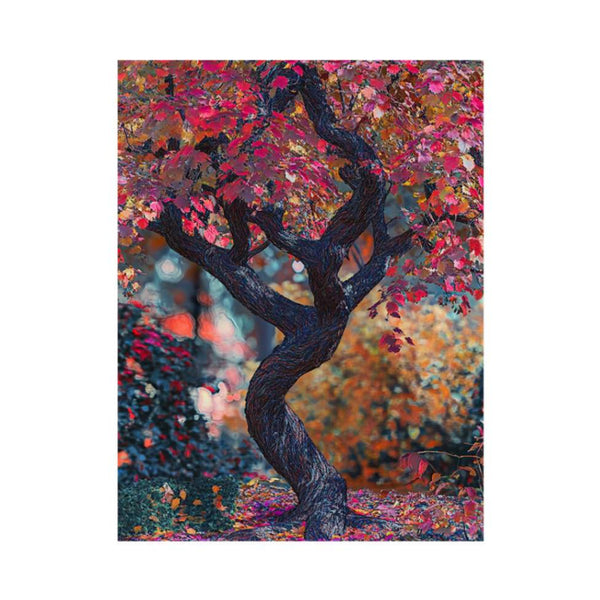 Japenese Maple Tree