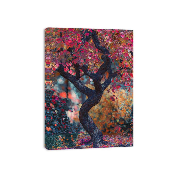Japenese Maple Tree Canvas Print