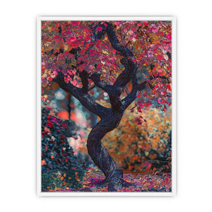 Japenese Maple Tree Framed Print