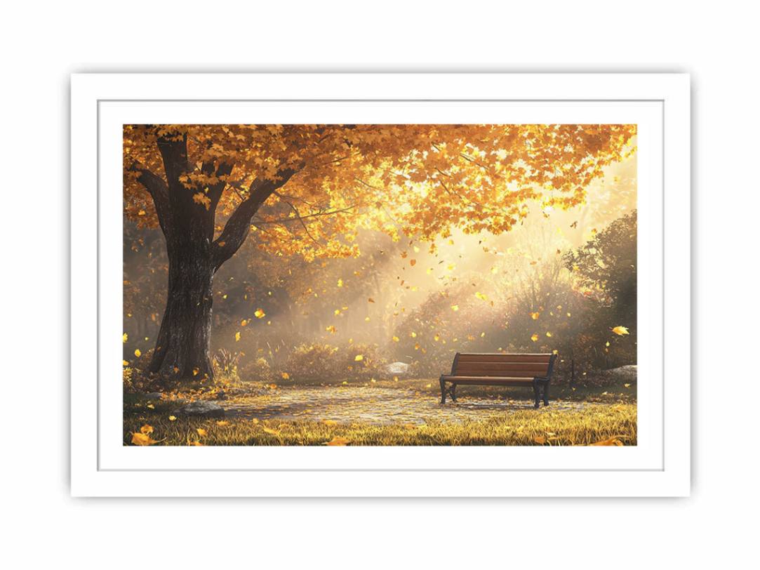 Fall's Radiance Streched canvas