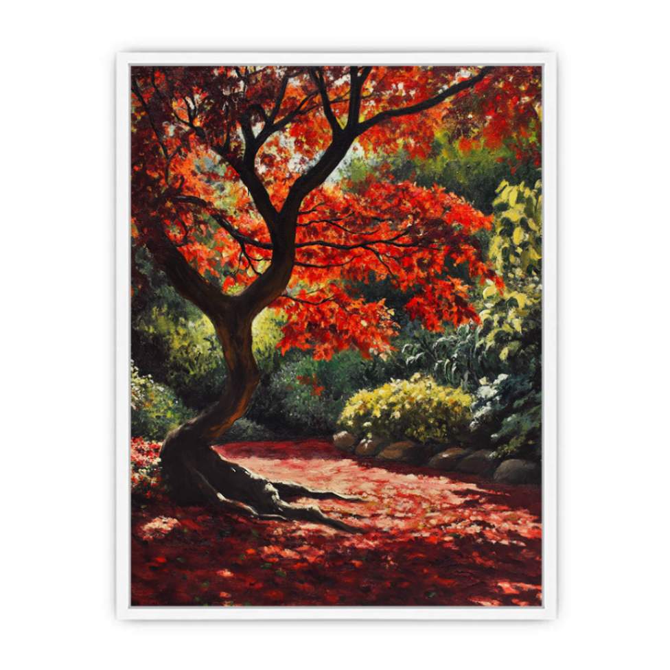  Maple Tree In Japan Framed Print