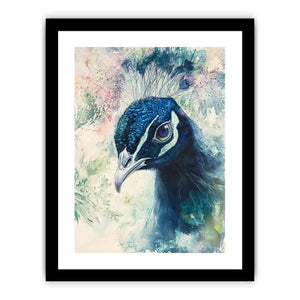 Close-Up Peacock  Art Print
