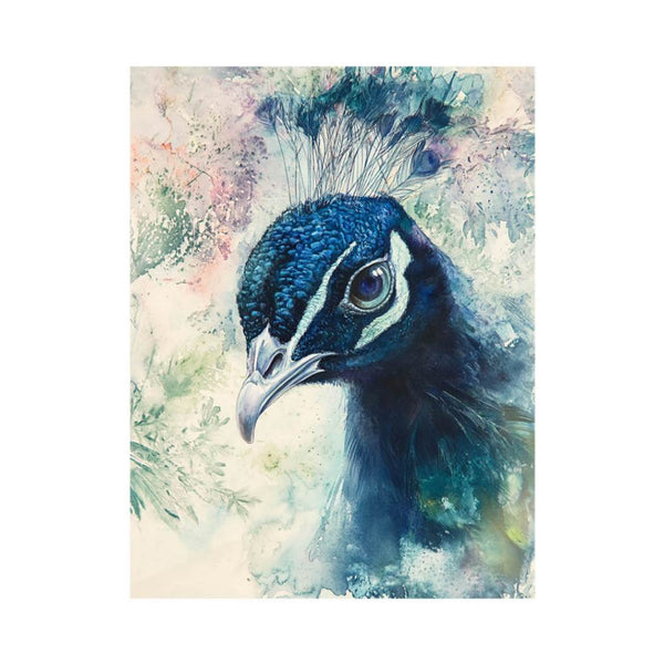 Close-Up Peacock