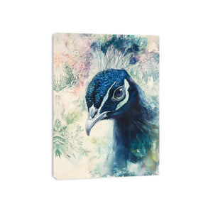 Close-Up Peacock Canvas Print