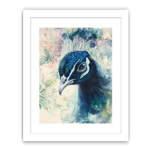 Close-Up Peacock Streched canvas