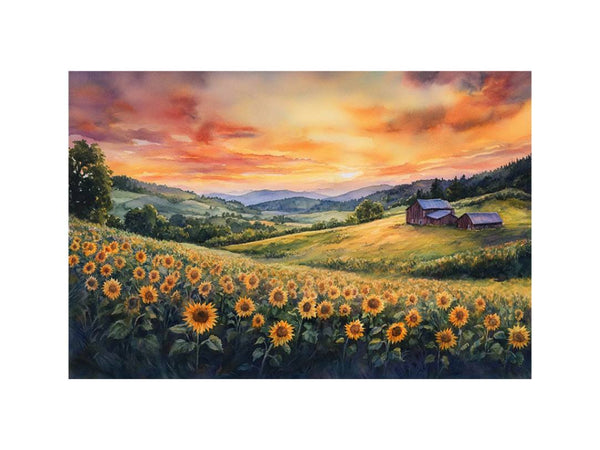 Sunflower Sunset