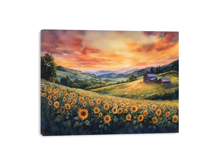 Sunflower Sunset Canvas Print