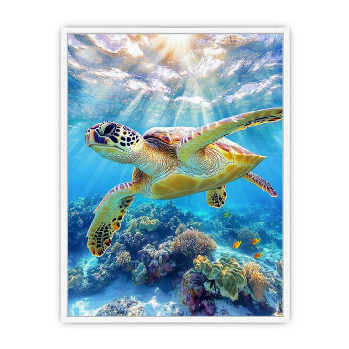Coral Cruiser Framed Print