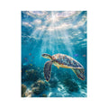 Eternal Swimmer
