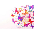 Whispering Wings