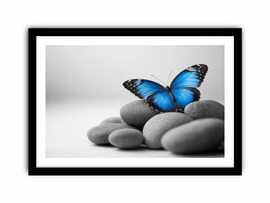 Wings Of Serenity  Art Print