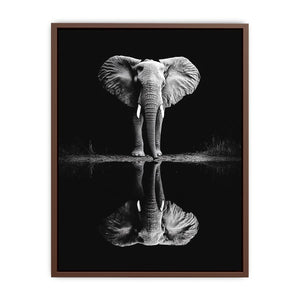 Elephant’s Reflection  Poster
