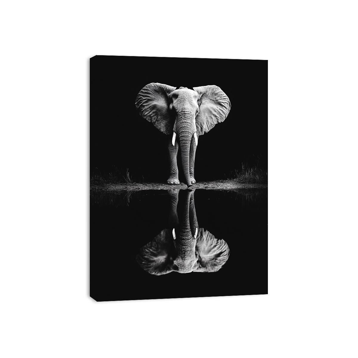 Elephant’s Reflection Canvas Print