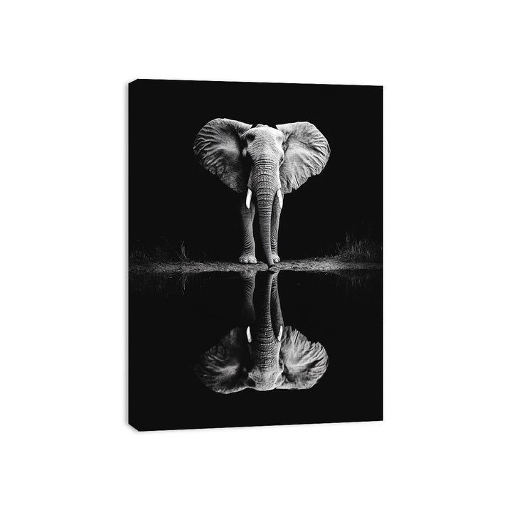 Elephant’s Reflection Canvas Print