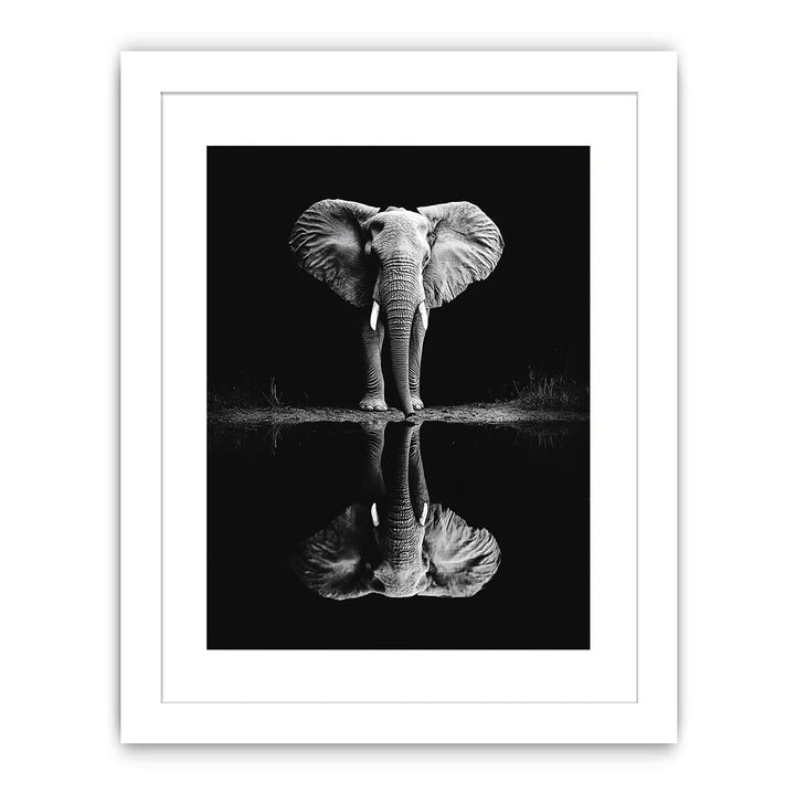 Elephant’s Reflection Streched canvas