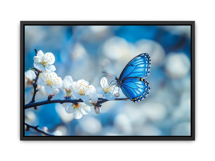 Blue Butterfly  Painting
