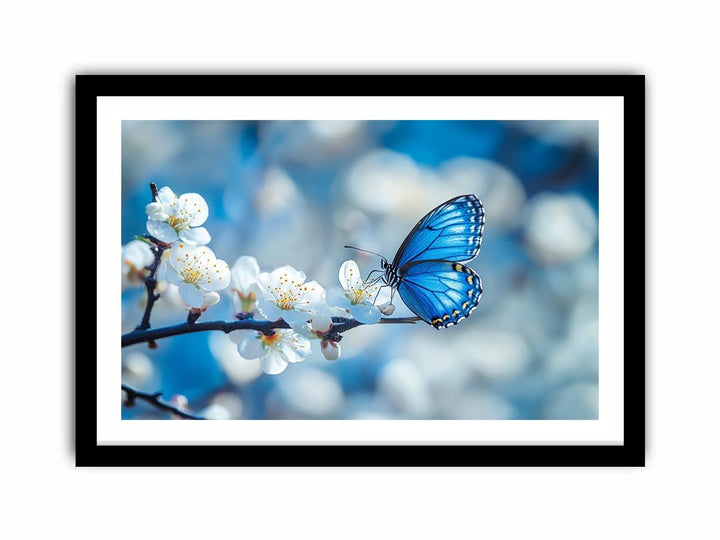 Blue Butterfly  Art Print