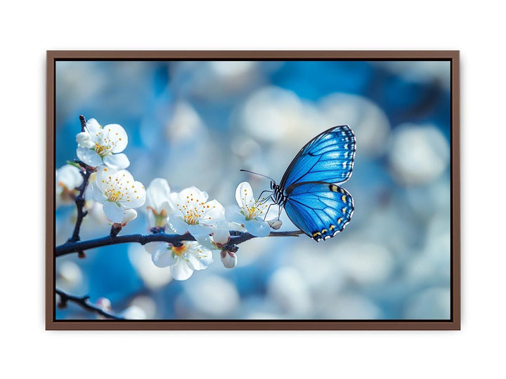Blue Butterfly  Poster